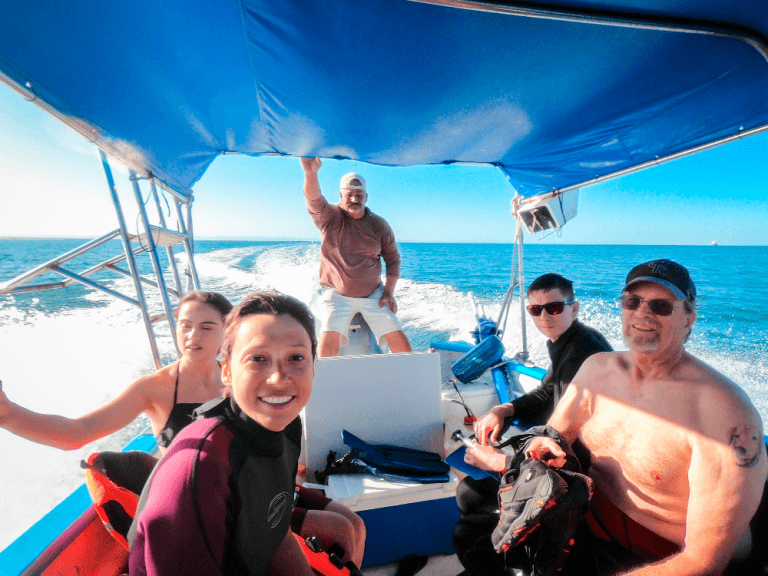 Whaleshark, Sea lions, Balandra Beach & Island Experience-tour