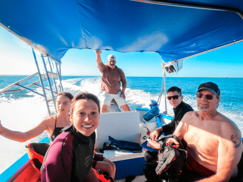 Sea Lion & Espíritu Santo Island Day Tour