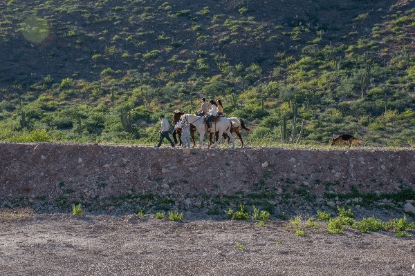 Horseback riding to the beach 5