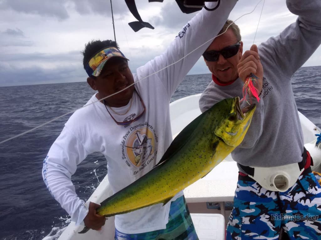 Fishing Trip To Bay of Dreams